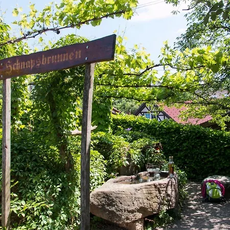 Terrassenpark Apartments  Sasbachwalden Exterior foto
